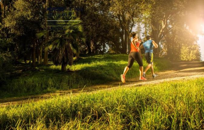 �����|������һ�򲽣����������������������������������