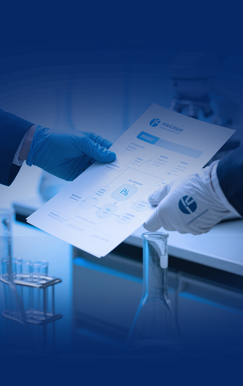 ������Ŀת��