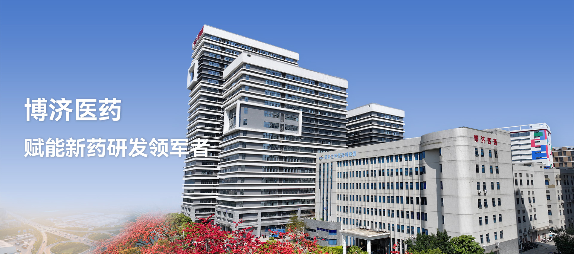 �Ƿ�����ҽҩ ������ҩ�з������