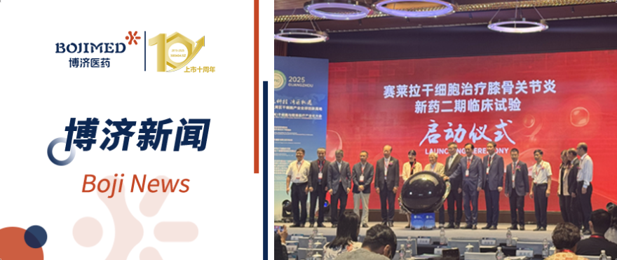 ����15�����˫���������������Ƿ��������ʸ�Ч������ϸ����ҩ�����ٴ�����˳��������?