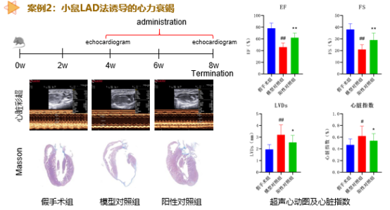 ·Ç·²¹ú¼Ê(ÖйúÇø)-¹Ù·½ÍøÕ¾