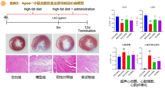 ·Ç·²¹ú¼Ê(ÖйúÇø)-¹Ù·½ÍøÕ¾