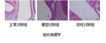 ·Ç·²¹ú¼Ê(ÖйúÇø)-¹Ù·½ÍøÕ¾