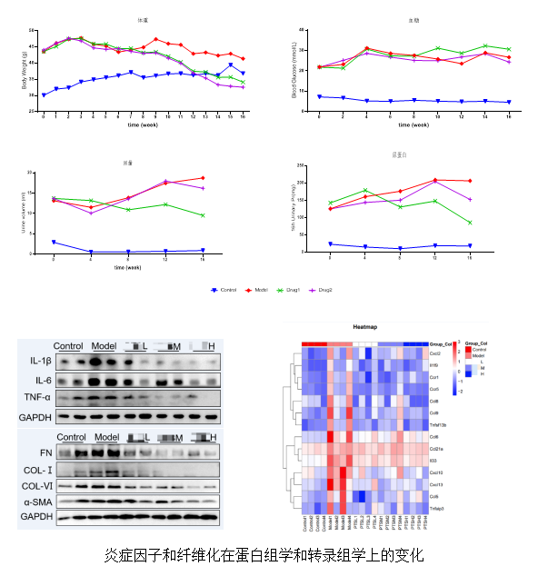 ·Ç·²¹ú¼Ê(ÖйúÇø)-¹Ù·½ÍøÕ¾