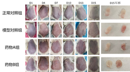 ·Ç·²¹ú¼Ê(ÖйúÇø)-¹Ù·½ÍøÕ¾