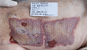 ��II������ģ��